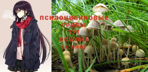 стафф Ладушкин
