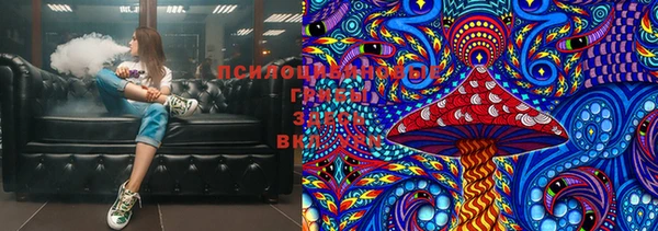 стафф Ладушкин