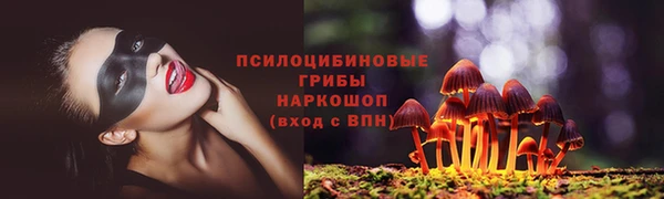 стафф Ладушкин