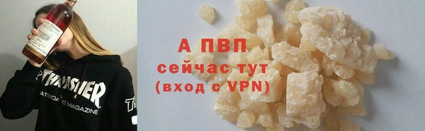 стафф Ладушкин