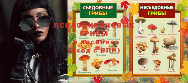 дурь Лабытнанги