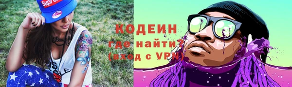 дурь Лабытнанги